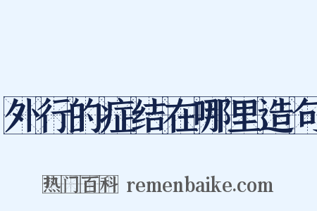 外行的症结在哪里造句是什么意思的图片